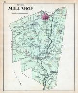 Millford Town, Otsego County 1903